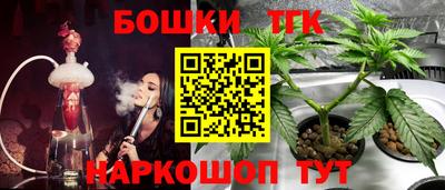 винт Будённовск