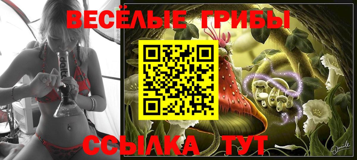Псилоцибиновые грибы мухоморы Королёв