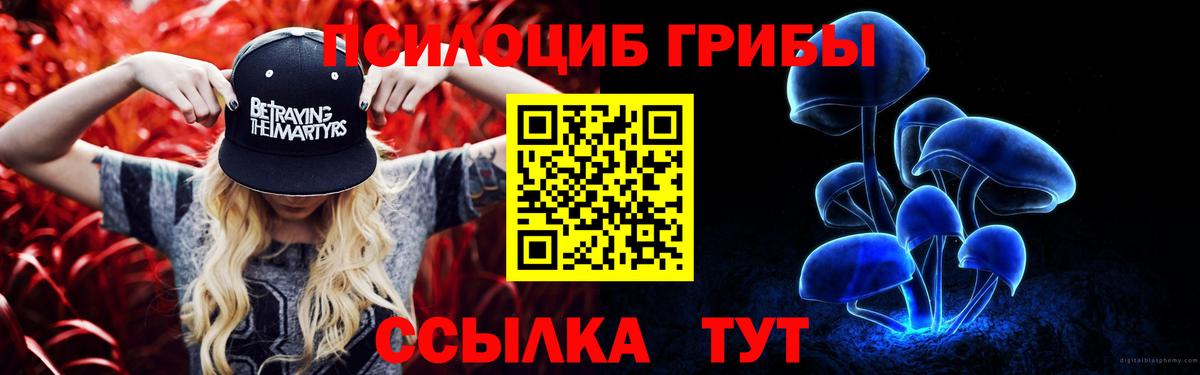 Галлюциногенные грибы GOLDEN TEACHER  Вход с VPN  Галлюциногенные грибы ЛСД  Королёв 